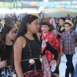 IMG 8491