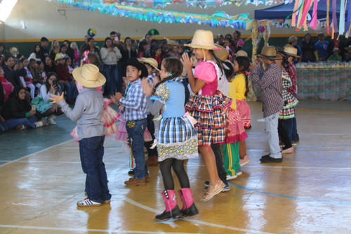 IMG 7845.jpg