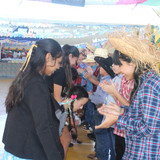 IMG 8508