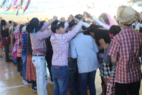 IMG 8529.jpg