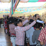 IMG 8532