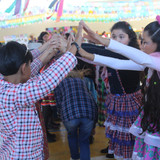 IMG 8536