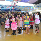 IMG 8186