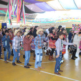 IMG 8373