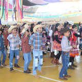 IMG 8374