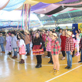 IMG 7919