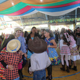IMG 8558