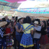 IMG 8577