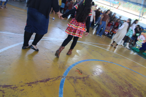 IMG 8596.jpg