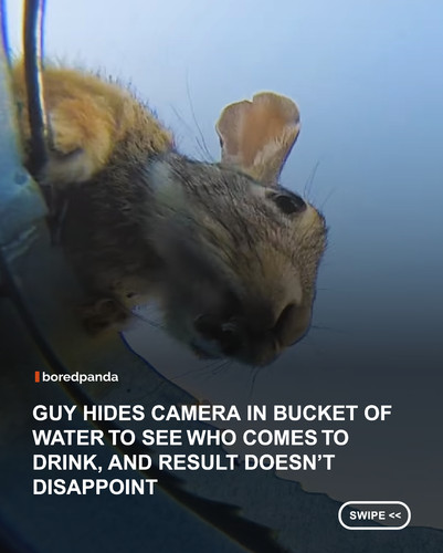 swipe to read.jpg