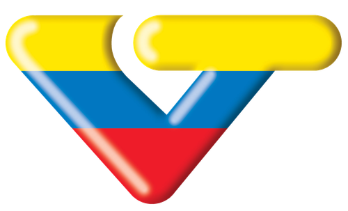 VTV logo.png