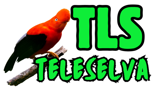 Diseno sin titulo 1 e1743437097540.png
