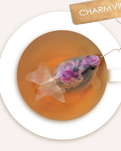 gold fish tea bag charm villa 2.jpg