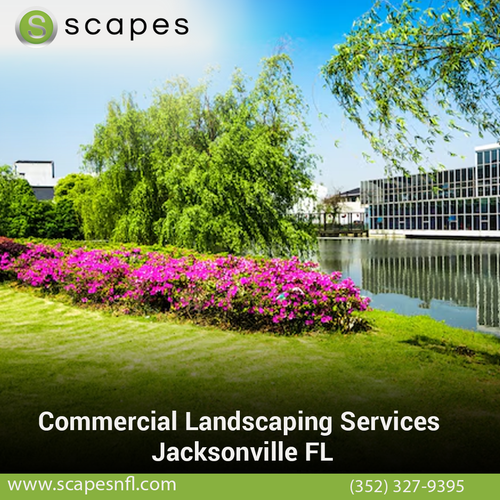 COMMERCIAL LANDSCAPING SERVICES JACKSONVILLE FL.png