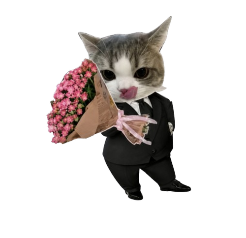 0a8776ad c976 4b1a 847d 35e36af74291 removebg preview.png