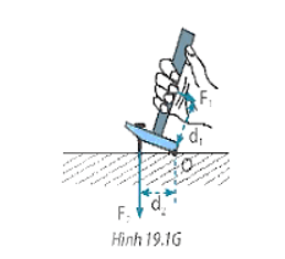 bai 19 5 trang 54 sbt khtn 8 1.png