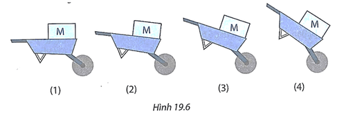 bai 19 6 trang 54 sbt khtn 8.png