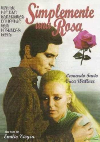 27 simplemente una rosa.jpg