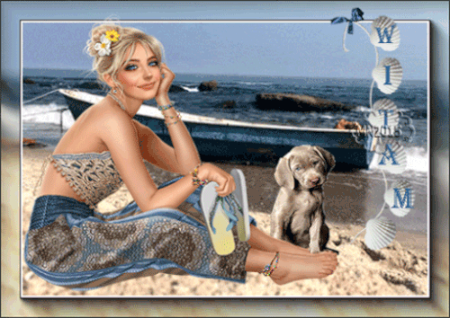520x368 Morski GIF.gif