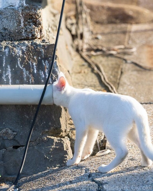 imgi 44 732420987 18604826494006540 8516661840295073544 n 6a58350f89e54 700.jpg