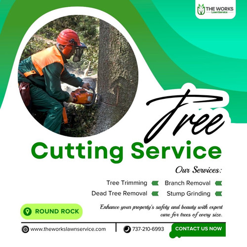 Tree Cutting Service in Round Rock.jpg