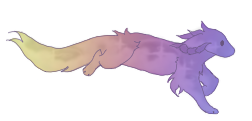 IMG 1010.png