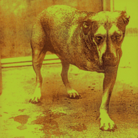 fcbf4570c13e.png