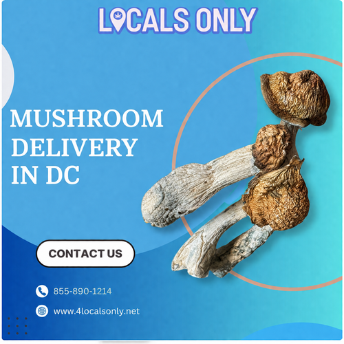 Mushroom delivery in DC.png
