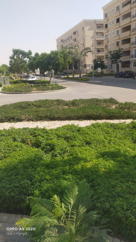 IMG20260716155403.jpg