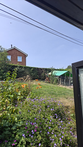 58447.jpg