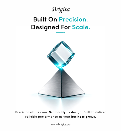 Brigita UI UX.png