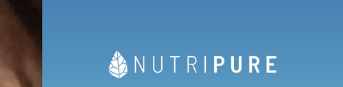logo.jpg