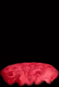 188397.gif