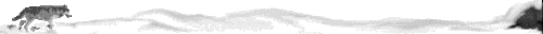 188386.gif