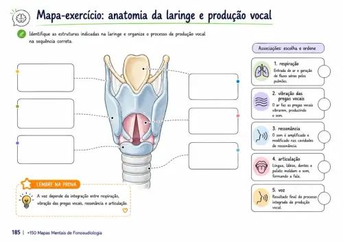 fono por dentro 18.webp