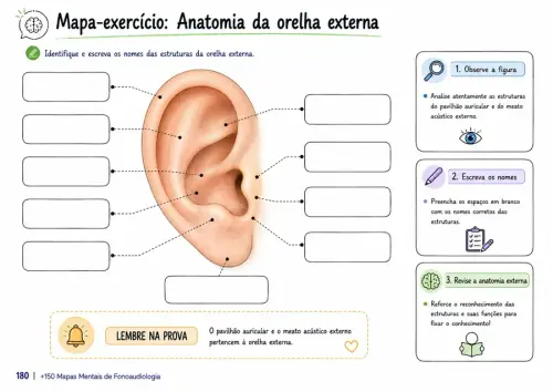 fono por dentro 16.webp