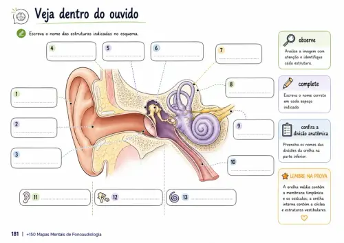 fono por dentro 17.webp