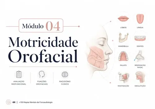 fono por dentro 11.webp