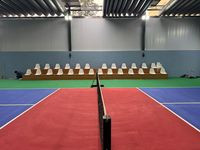 Pickleball X5