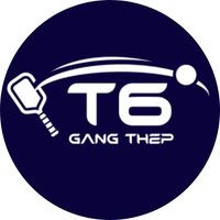 Pickleball T6 Gang Thép