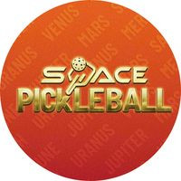 Sân Space Pickleball