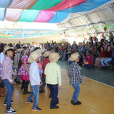 IMG 8188