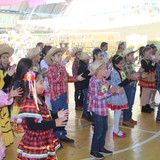 IMG 7742