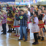 IMG 7754