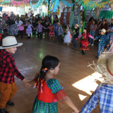 IMG 7219