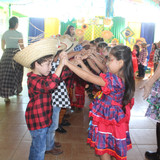 IMG 7232