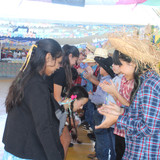 IMG 8508