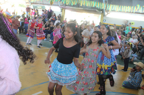 IMG 8520.jpg