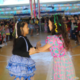 IMG 7991