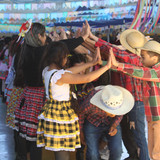 IMG 7995